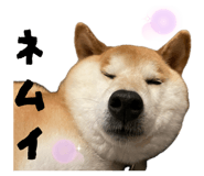 844690370
