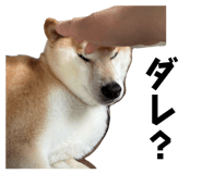 844690376