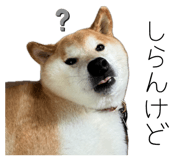844690391