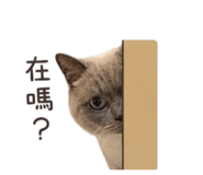 844691712