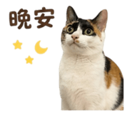 844692192