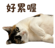844692201