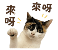 844692202