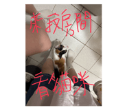 844692504