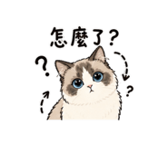 844692605