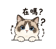 844692622