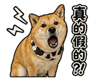 844692874