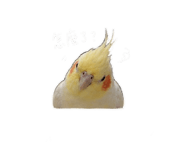 844693769