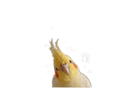 844693776