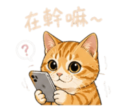 844693930