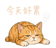 844693936