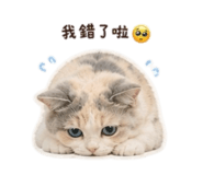 844694022