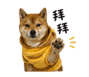 844694181