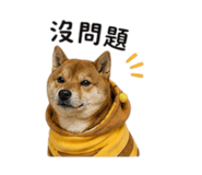 844694183
