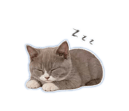 844694310