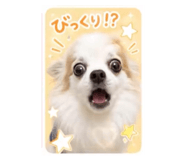 844694950