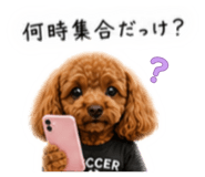 844696062