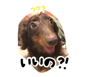844696487