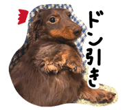 844696493