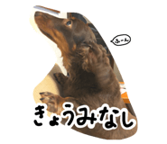 844696496