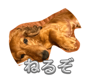 844696854