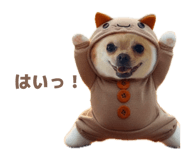 844696983