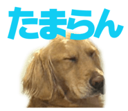 844697089