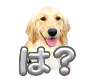 844697091