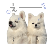 844697126