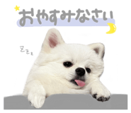 844697132