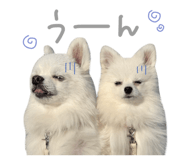 844697134