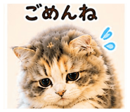 844697248