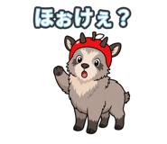 844697257