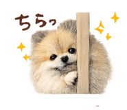 844697294