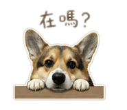 844698489