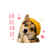 844698498