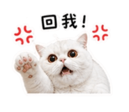 844698540