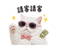 844698548