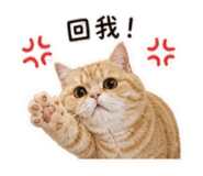 844698601