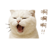 844698644