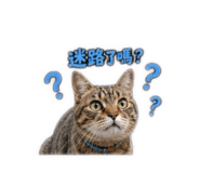 844699501
