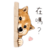 844699782