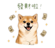 844699796
