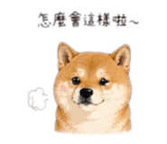 844699799