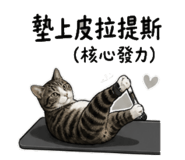 844699847