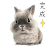 844701133