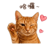 844701193