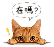 844701200