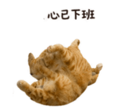 844701348