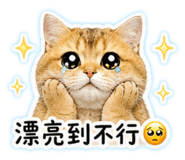 844701663